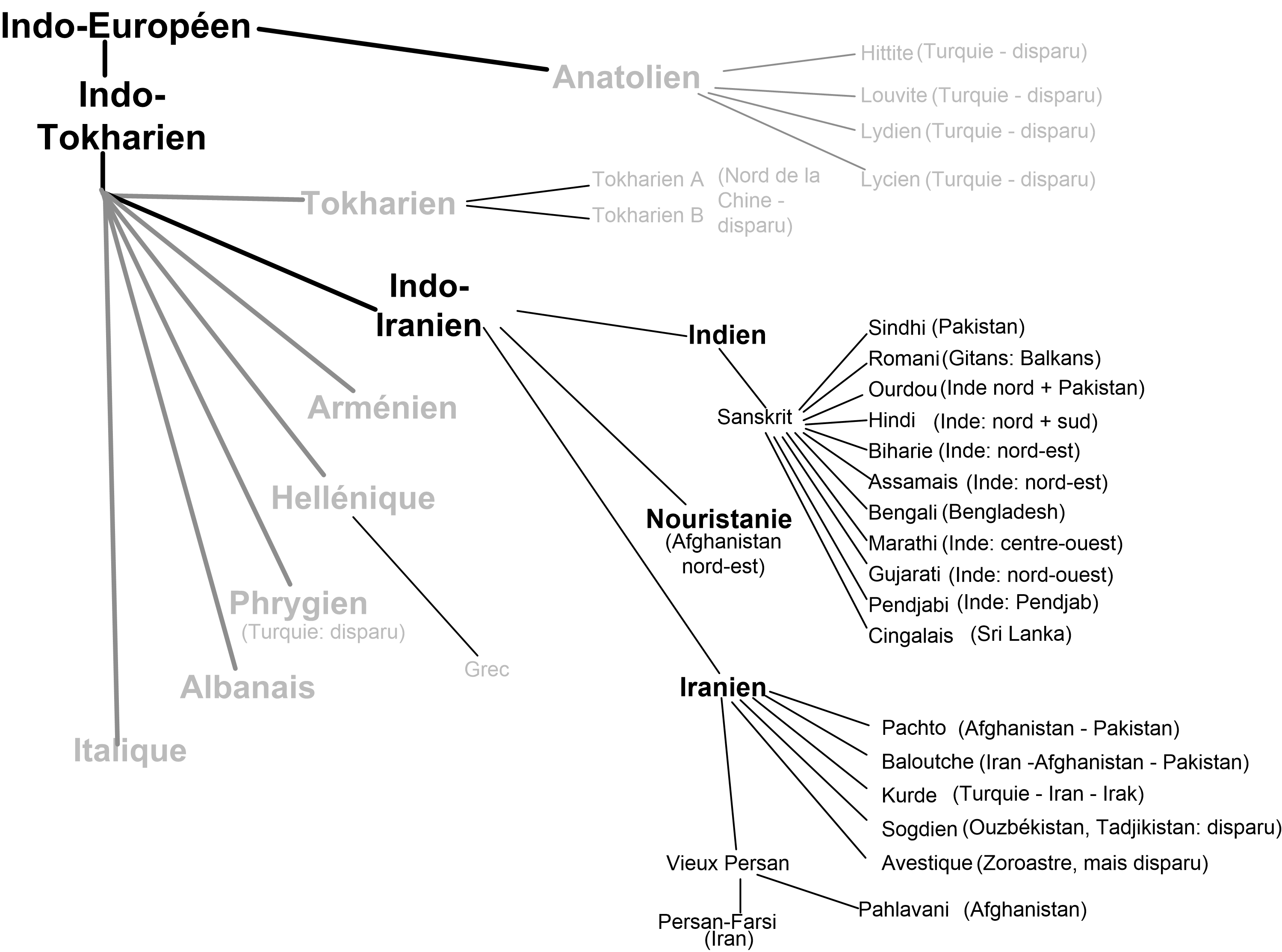 Branche indo-iranienne de l'indo-europ�en